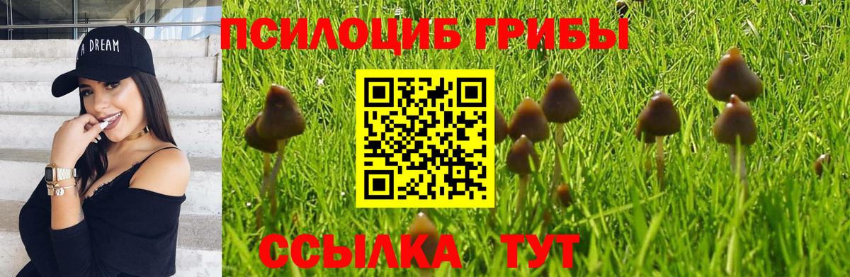 Псилоцибиновые грибы Psilocybe  Вход с VPN  Зерноград  Псилоцибиновые грибы мухоморы 