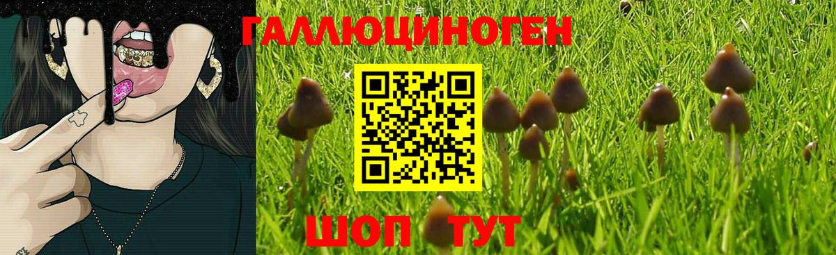 Псилоцибиновые грибы ЛСД Зерноград